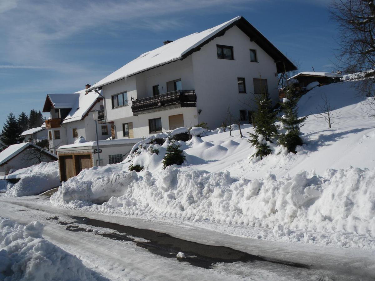 Pension Haus Ludwig شوتن المظهر الخارجي الصورة