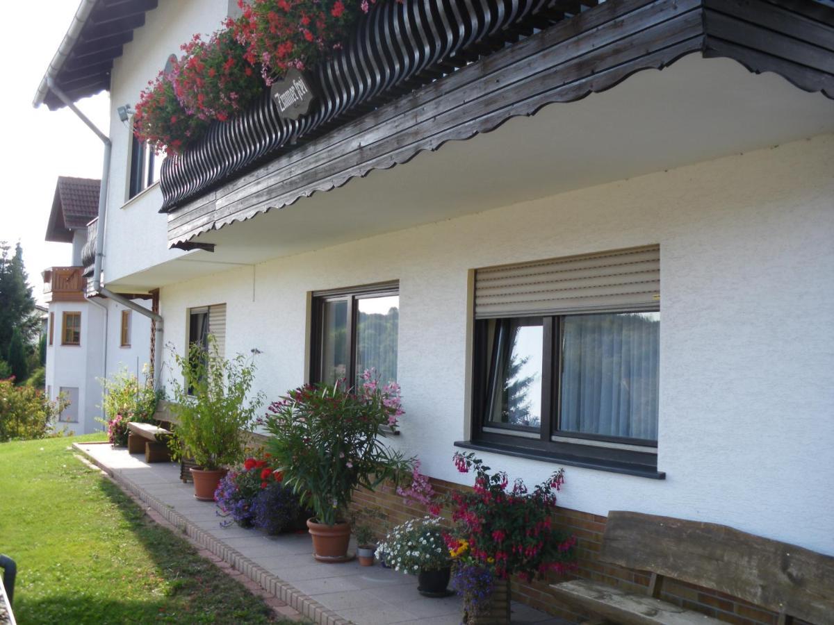 Pension Haus Ludwig شوتن المظهر الخارجي الصورة