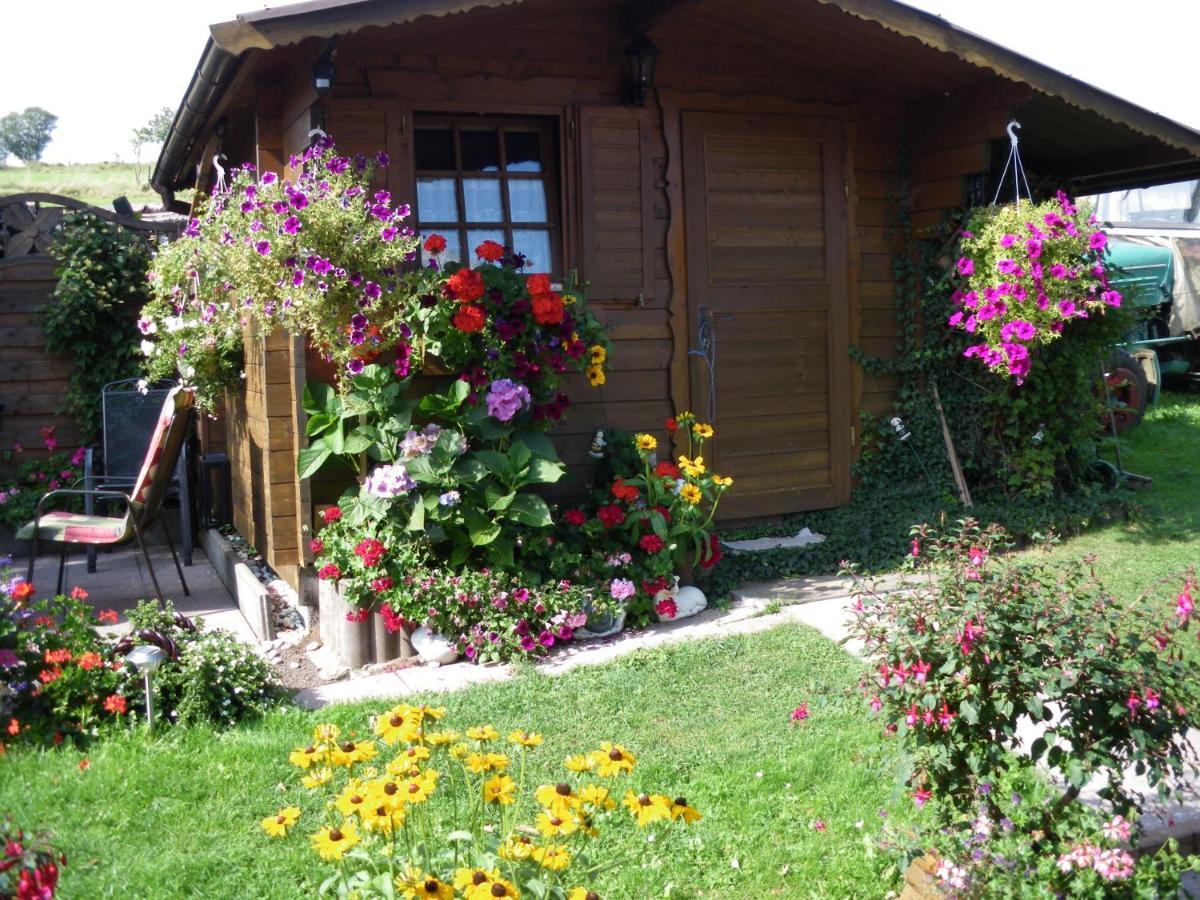 Pension Haus Ludwig شوتن المظهر الخارجي الصورة